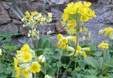 parc-gwell-132-bk-short ws.jpg